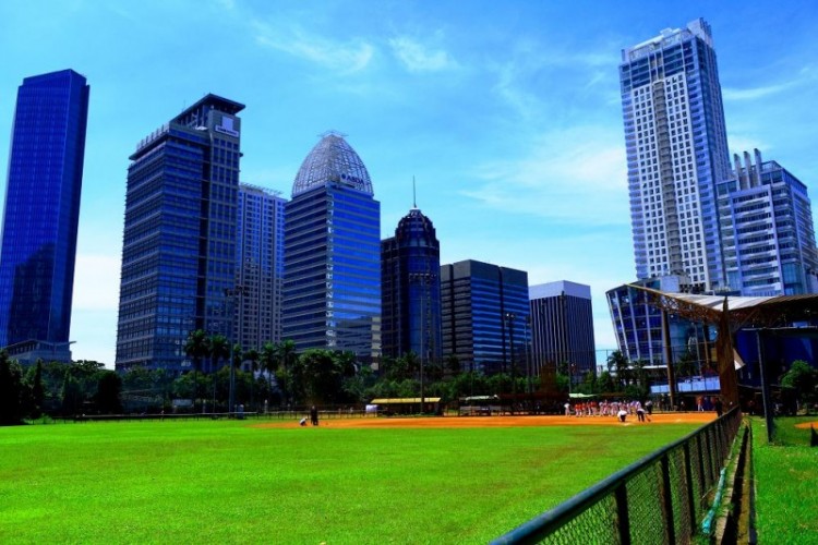 Blog Foto - Baseball Field - Senayan 1.jpg