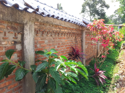 크기변환_3 담장.jpg