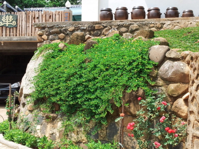 크기변환_4 장독대.jpg