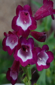 크기변환_크기변환_사본 -DSC_0161.jpg