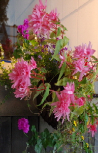 크기변환_크기변환_사본 -DSC_0922.jpg