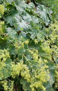 크기변환_크기변환_사본 -20140728_160625.jpg