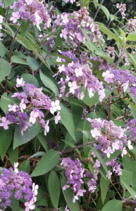 크기변환_크기변환_사본 -20140725_202931.jpg