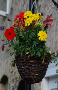 크기변환_크기변환_사본 -DSC_0416.jpg