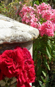 크기변환_크기변환_사본 -SAM_3570.jpg