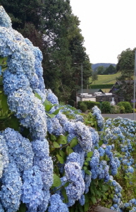 크기변환_크기변환_사본 -20140728_013046.jpg