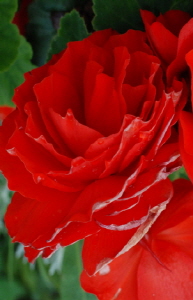 크기변환_크기변환_사본 -DSC_1009.jpg