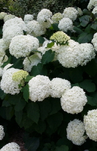 크기변환_크기변환_사본 -20140725_204207.jpg