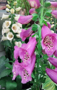 크기변환_크기변환_사본 -20140802_164947.jpg