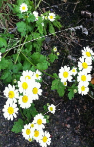 크기변환_크기변환_사본 -사본 -IMG__9835.jpg