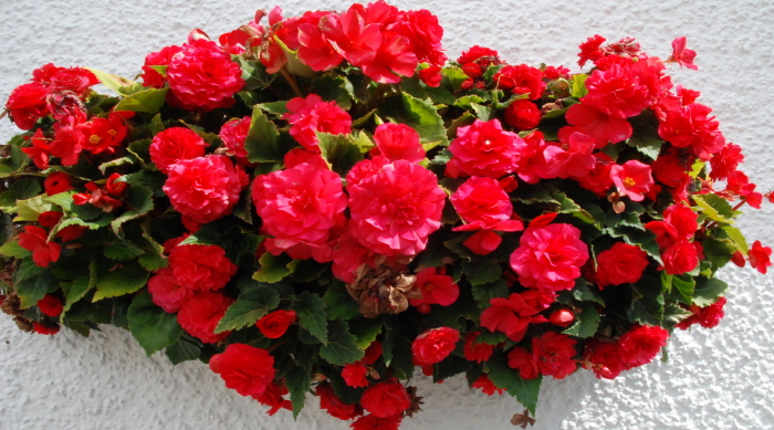 크기변환_사본 -DSC_0078.jpg