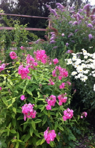 크기변환_크기변환_사본 -IMG__9840.jpg