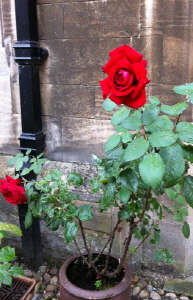 크기변환_크기변환_사본 -IMG_0478.jpg