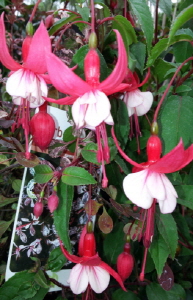 크기변환_크기변환_사본 -20140802_165001.jpg