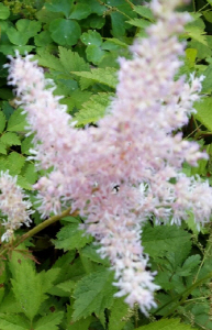 크기변환_크기변환_사본 -KakaoTalk_20140825_111327248.jpg