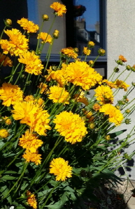 크기변환_크기변환_사본 -사본 -20140730_235815.jpg