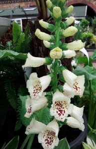 크기변환_크기변환_사본 -20140802_164931.jpg