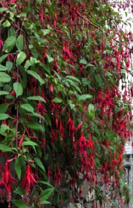 크기변환_크기변환_사본 -IMG__9792.jpg