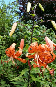 크기변환_크기변환_사본 -20140727_171443.jpg