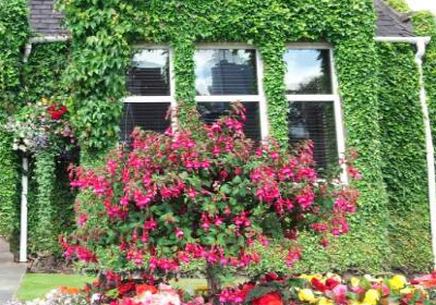 크기변환_사본 -KakaoTalk_20140811_101730387.jpg