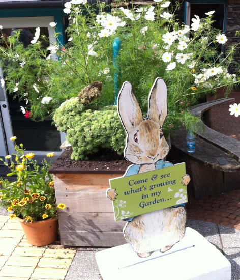 크기변환_사본 -IMG__9867.jpg