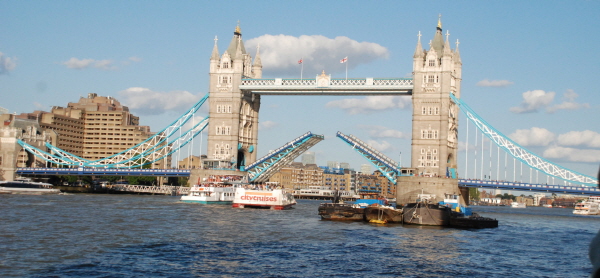 크기변환_사본 -DSC_0380.jpg