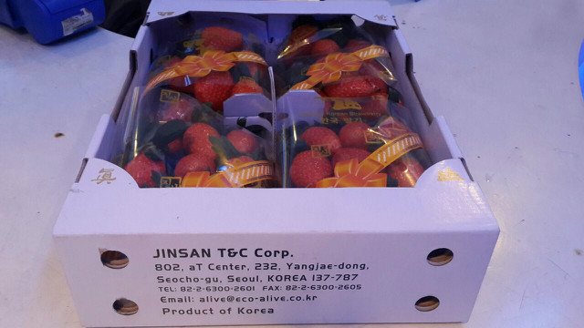 딸기3.jpg