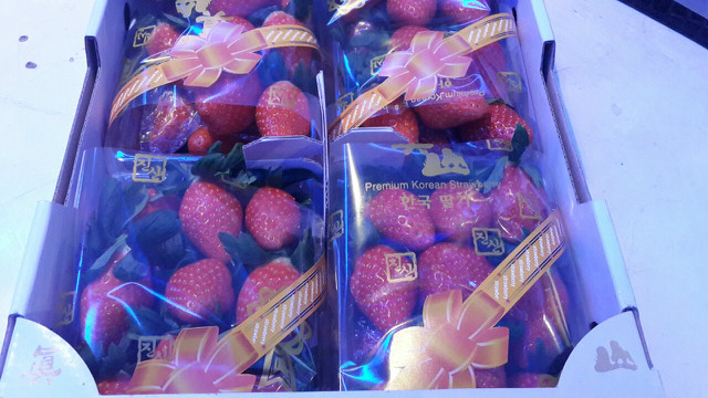딸기4.jpg