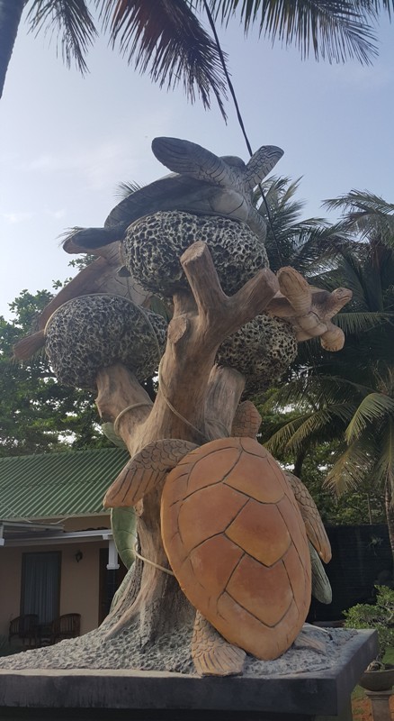 1-1 거북이 산란 마을을 표시.jpg