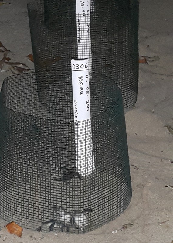 6-1 부화장의 새끼들.jpg