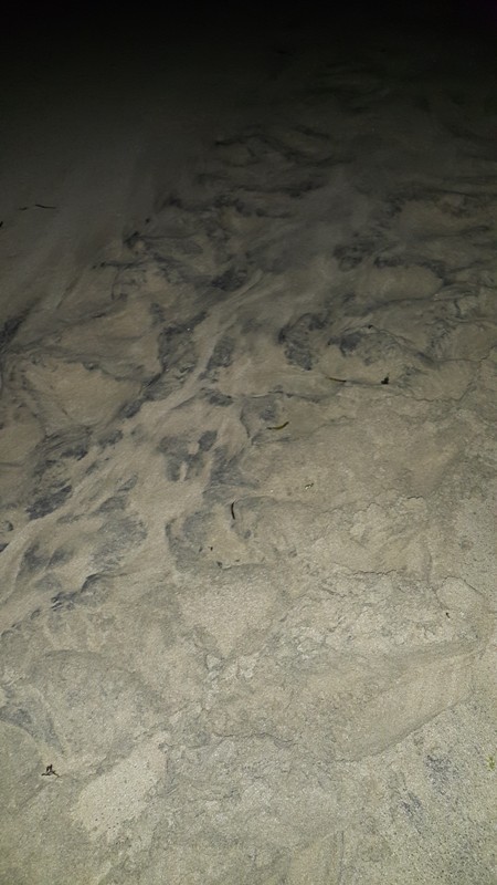 1-1 숭고한 발자국 (줄임).jpg