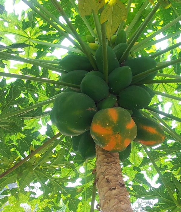 96d57091c33613ed19adce90653ea570_1458327399_2902.jpg 96d57091c33613ed19adce90653ea570_1458327