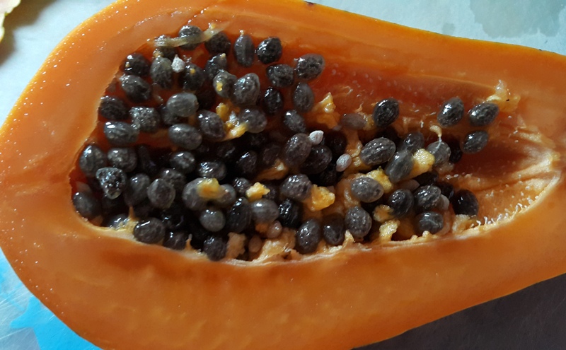 96d57091c33613ed19adce90653ea570_1458327406_1861.jpg 96d57091c33613ed19adce90653ea570_1458327