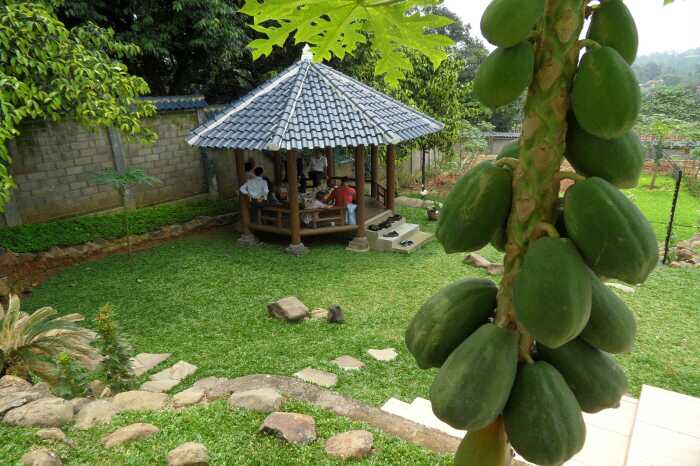 96d57091c33613ed19adce90653ea570_1458327420_3318.jpg 96d57091c33613ed19adce90653ea570_1458327