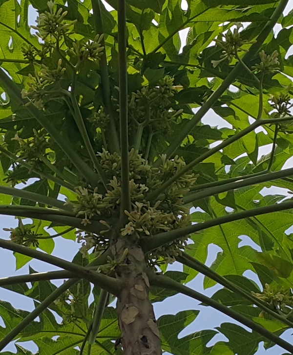 96d57091c33613ed19adce90653ea570_1458327452_3125.jpg 96d57091c33613ed19adce90653ea570_1458327