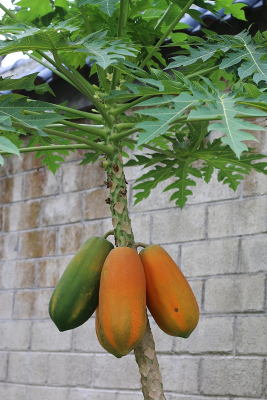 96d57091c33613ed19adce90653ea570_1458327