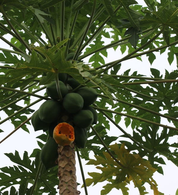 96d57091c33613ed19adce90653ea570_1458327