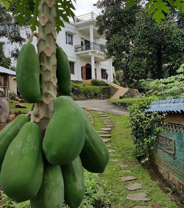 a30cb7ea04655ccae18b1c6cac20aef6_1458346