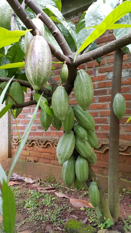 a224187eac6a28982ee40a97bb1915d8_1463130517_9483.jpg a224187eac6a28982ee40a97bb1915d8_1463130