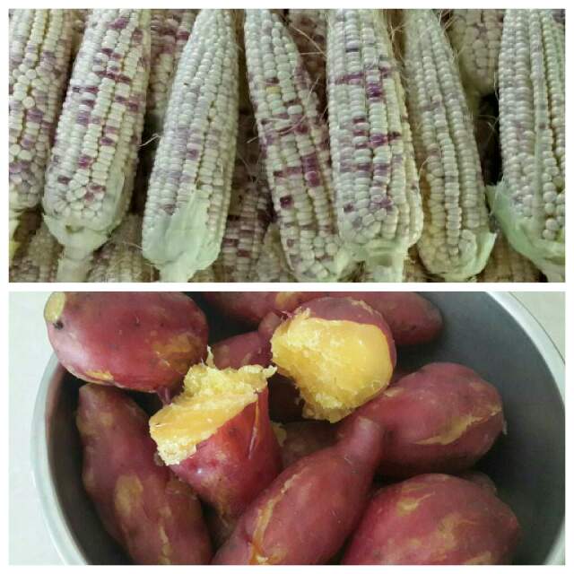 5c65baaca3748e2e0c340400ab34576f_1478320