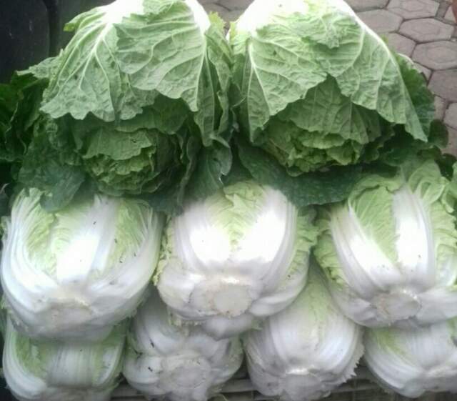 5c65baaca3748e2e0c340400ab34576f_1478320