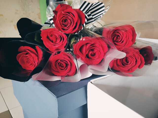 6a0425f3f6acfb9d0afaaac6ceb45f6c_1480469