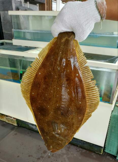 6adfe451aca6fcf2e17231275d6c3a35_1478235