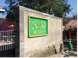 db1422c588f3ee74a4818b60d2230467_1479968