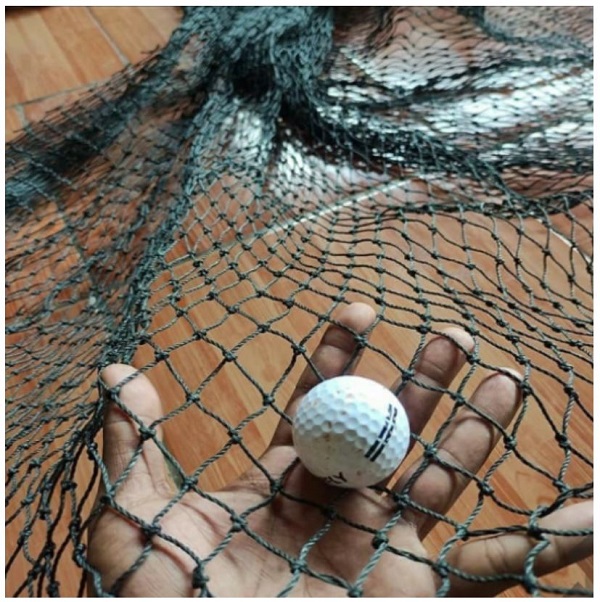 dba901c4976679ac7d3cef3d29196624_1641976