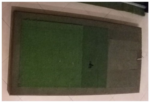 dba901c4976679ac7d3cef3d29196624_1641977