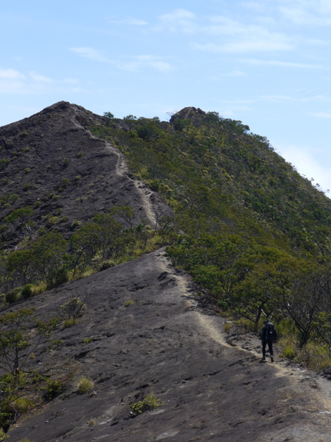 81f68f20b1b88b327a991b12ad3dc25c_LKtDYZAP3DIyTcpSS7G (1).jpg