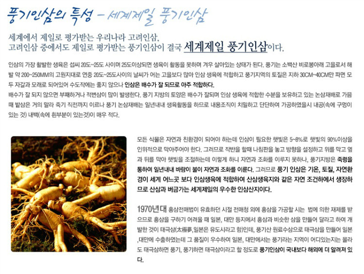 풍기인삼의 특성.jpg