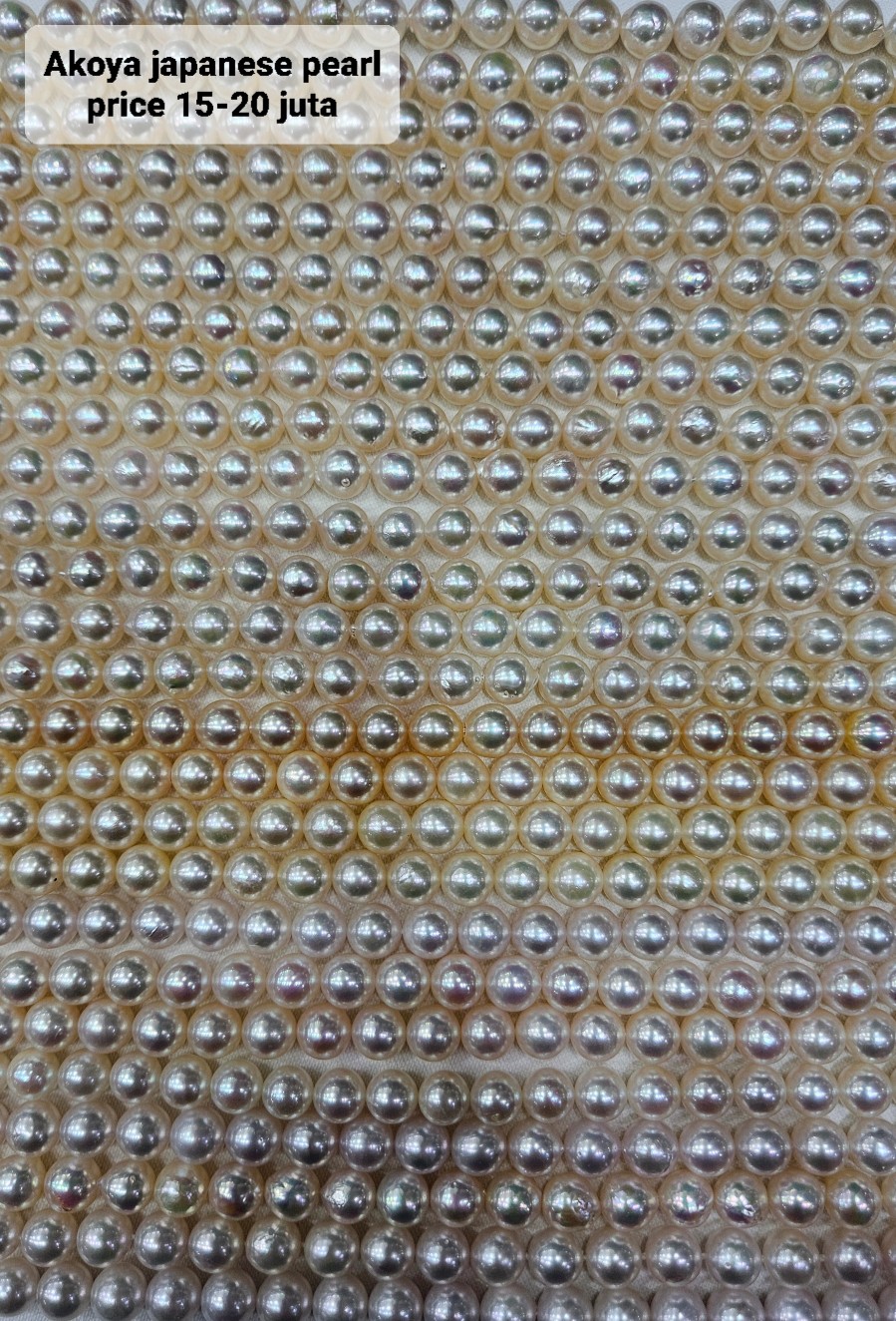 3053620804_1756114603.0632.jpg