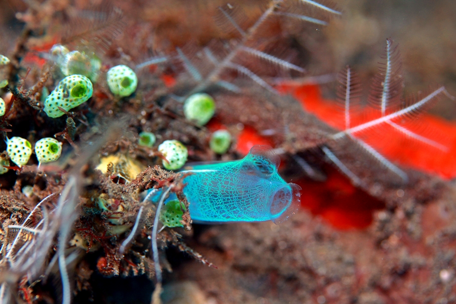 모르겠습니다 연산호 종류인듯한데...